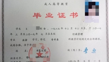 赴美生子回国如何上户口？蓝时光赴美生子