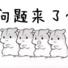 2022年上海黄浦区幼升小新生入学须知公布【6月4日-19日网上信息登记】