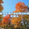 留学生落户本科有挂科有影响么