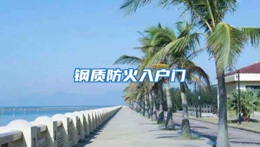 钢质防火入户门