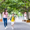 高级技工入户深圳,落深户补贴申请