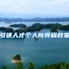 引进人才个人所得税政策
