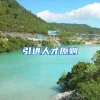 引进人才原则