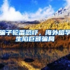 上海中级会计落户加100分？中级会计福利有哪些？