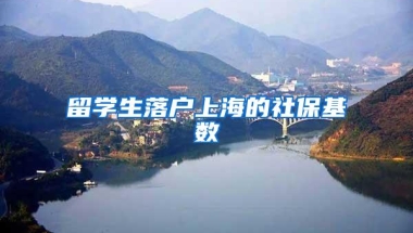 创业者的福音，深圳创业补贴政策！记得申请