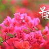 2022年落户系列讲座第3期：线下讲座｜上海落户六大政策解读