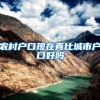 没有冰墩墩，掌握人才引进落户的登录方式，照样让你乐墩墩