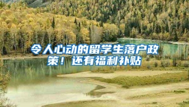 2000元即可代办落户深圳：低门槛为何让老深户泪崩？