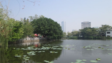 论深圳积分入户分值查询的理解与分析！