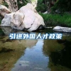 引进外国人才政策