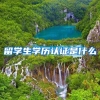 留学生学历认证是什么
