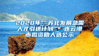 2020年“苏北发展急需人才引进计划” 连云港市拟资助人选公示