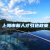 上海市新人才引进政策