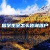 留学生会怎么咨询落户