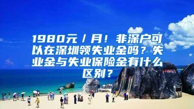 龙岗区落户恢复了深圳积分入户条件政策