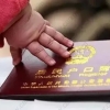 2021年，应届生毕业2年内入深户指南