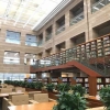 聊城市市管企业 2022年第三批“水城优才”优秀青年人才引进 （应届毕业生夏招专场）公告