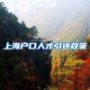 上海户口人才引进政策