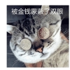 2019应届生入户深圳有哪些标准+大专生入户深圳条件内部资料