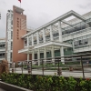 2023年升学季，美国排名前50名大学的录取条件是什么？需要如何规划？中外合作本科升学优势在哪里？