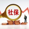 2021年应届生落户上海：本硕仅一批次，为期一个月！